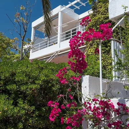 Sounio, Modern Beach Artemis